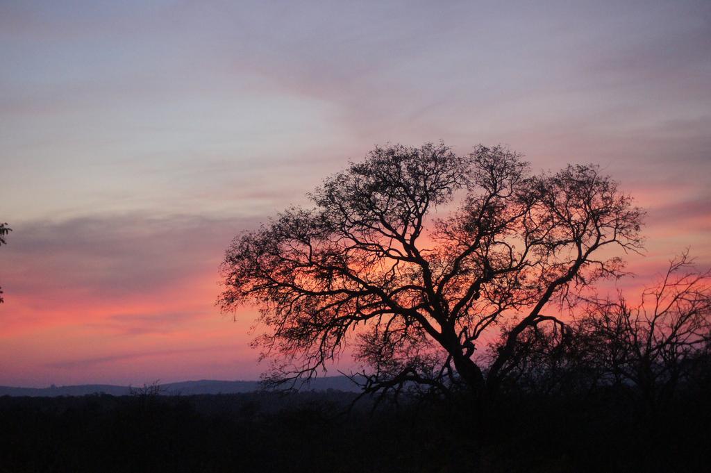 The Fever Tree Guest House Hluhluwe Exteriör bild